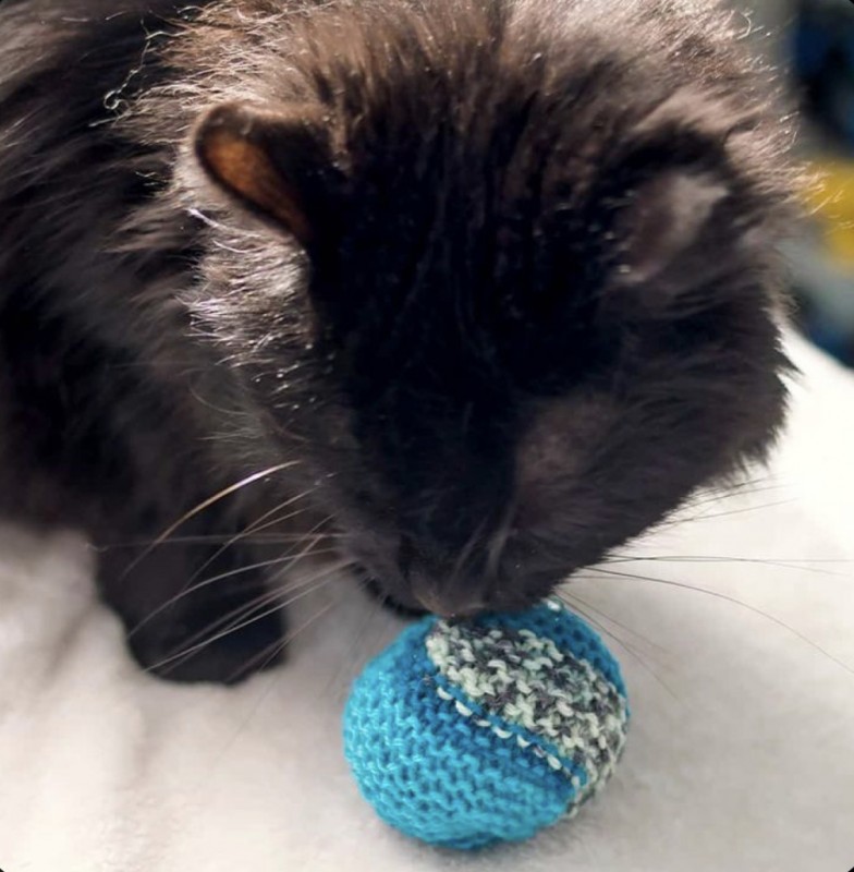 Easy Cat Toy — Knitting Ideas