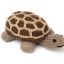 Knitted Giant Tortoise