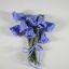 Knitting Beautiful Bluebells Flowers