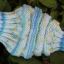 Knitted Baby's Rings Leg Warmers