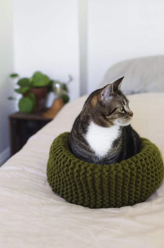 Make Your Own Knit Cat Bed — All Knitting Ideas