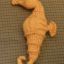 Knit an Adorable Seahorse Toy