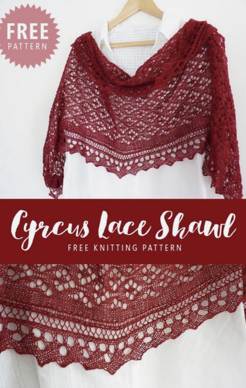 Beautiful Cyrcus Lace Shawl — All Knitting Ideas