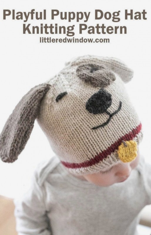 Make a Playful Puppy Dog Hat — All Knitting Ideas